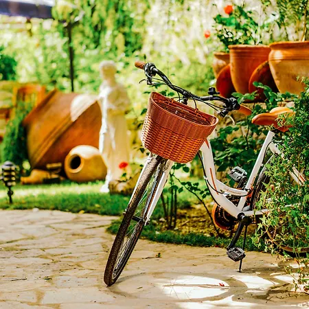 Habitación en casa particular Cunda Esen