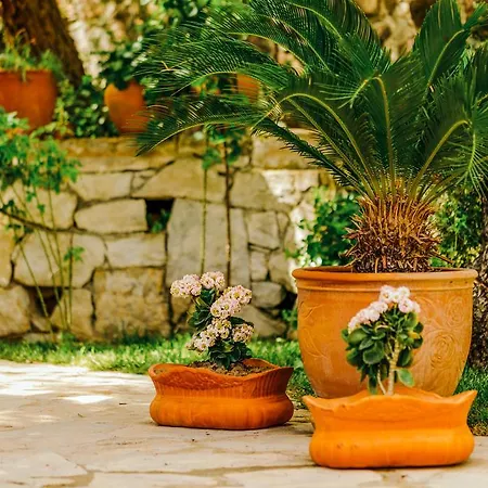 Habitación en casa particular Cunda Esen *